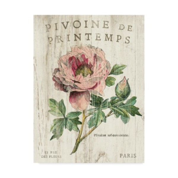 Trademark Fine Art Sue Schlabach 'Pivoine De Printemps' Canvas Art, 14x19 WAP08356-C1419GG
